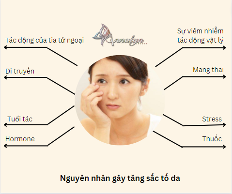 Nguyen Nhan Gay Sac To Da