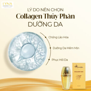 Collagen Thủy Phân