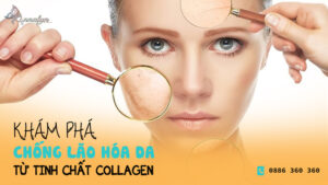 Khám-phá-tính-năng-chống-lão-hóa-da-từ-tinh-chất-collagen