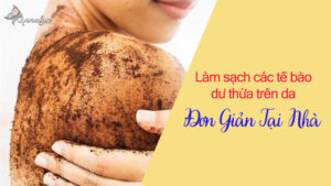 Làm-sạch-tế-bào-trên-da