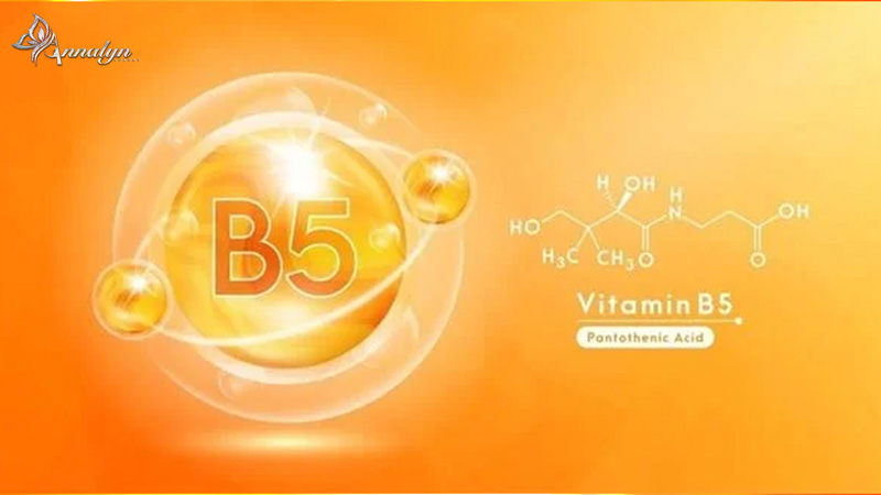 Provitamin-b5-hồng-nhũ-hoa-hiệu-quả