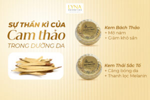 chiết xuất cam thảo